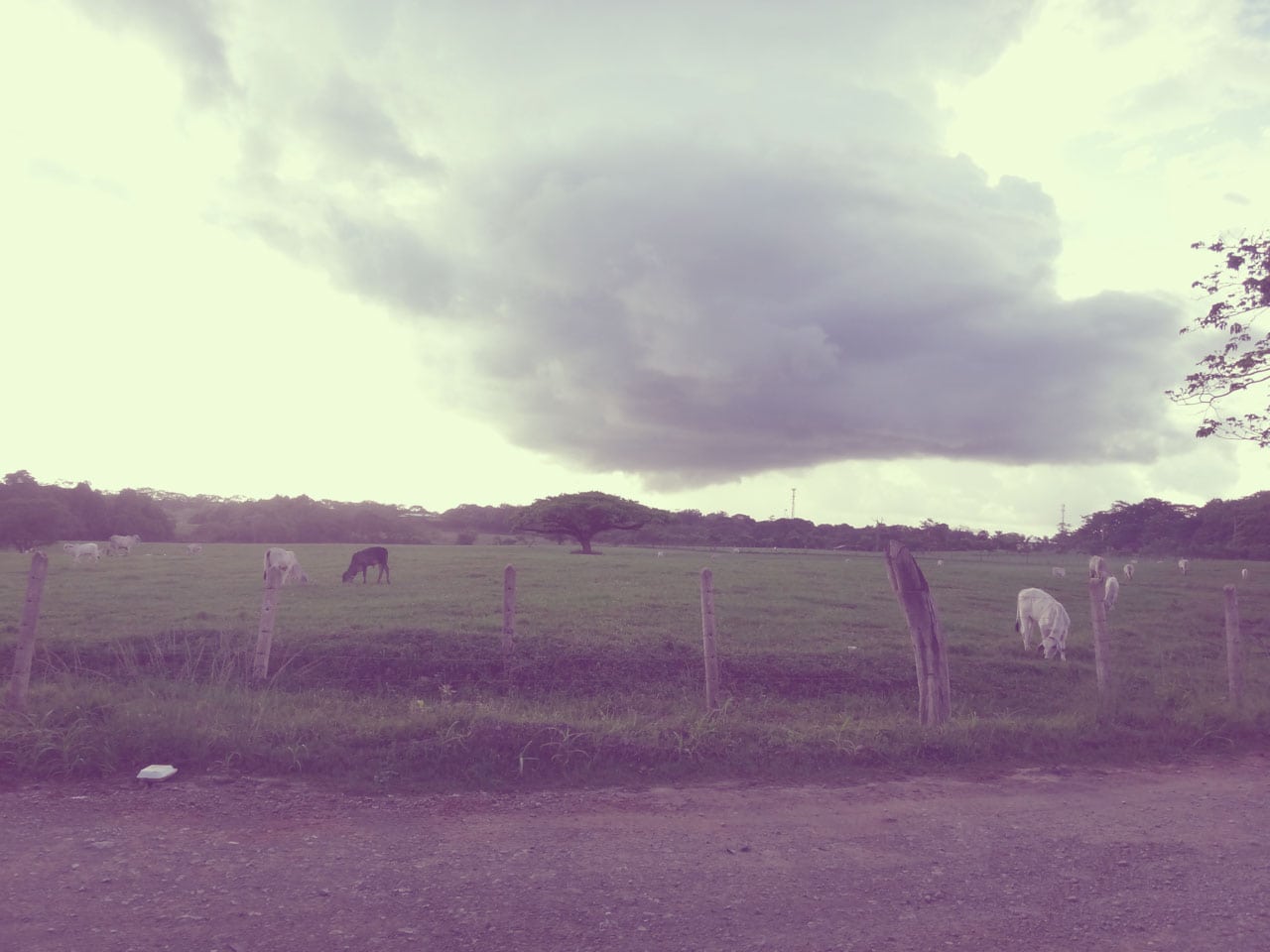 Santa Teresa, Costa Rica