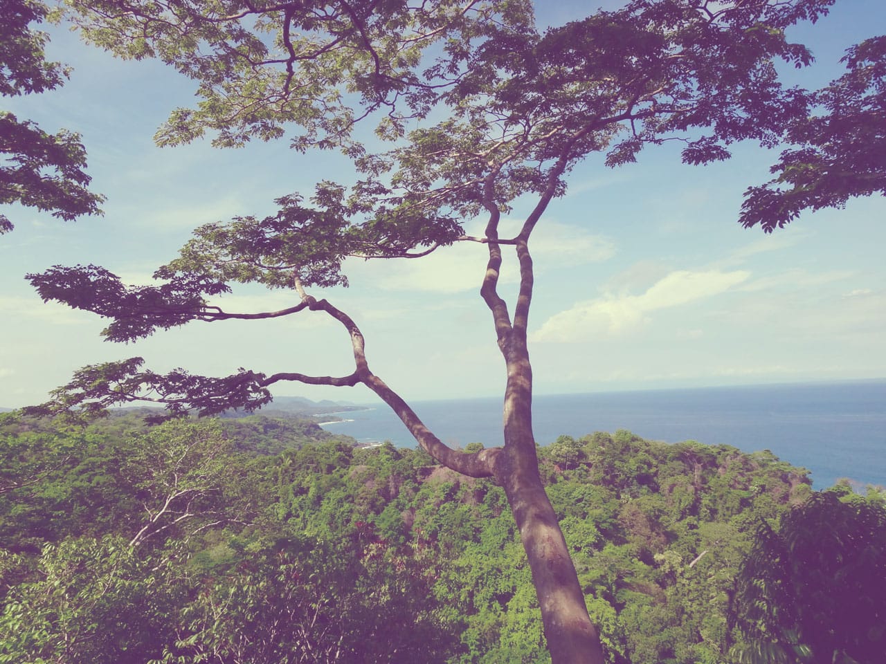 ziplining Montezuma Costa Rica