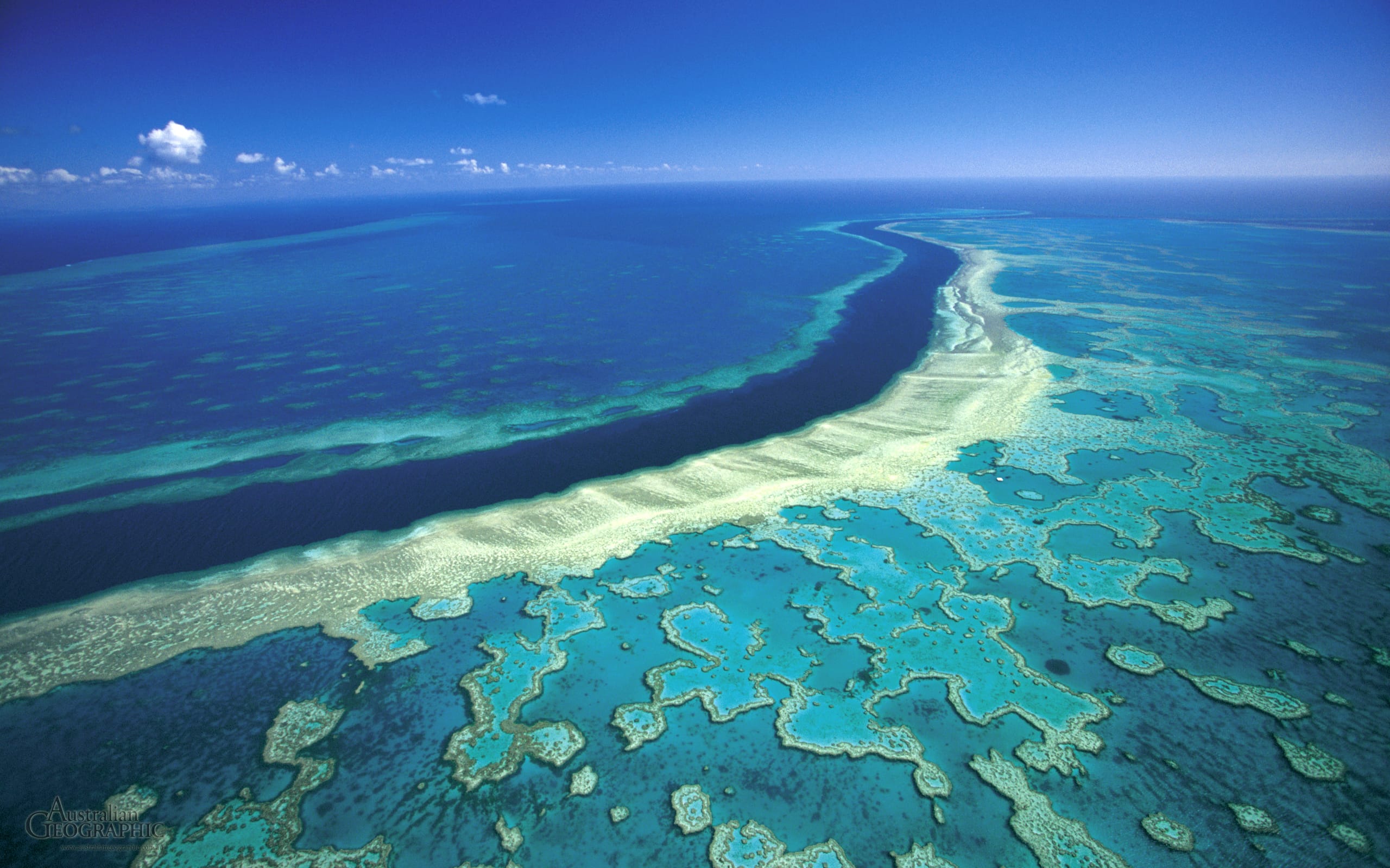 great barrier reef | Places to See Before It's Too Late