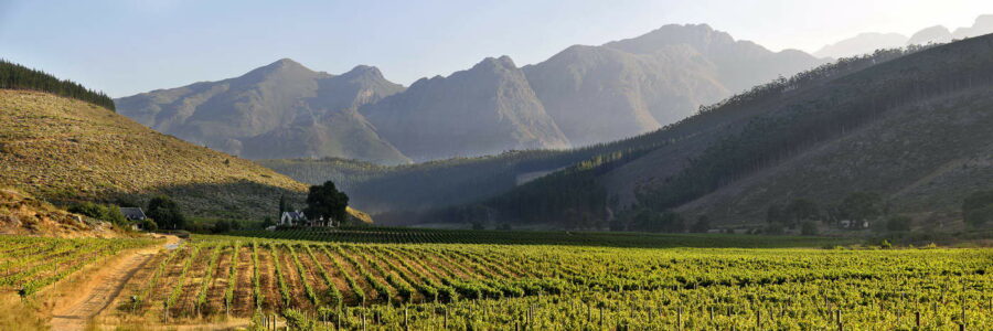 Glenwood Vineyards, South Africa | wineries with a view