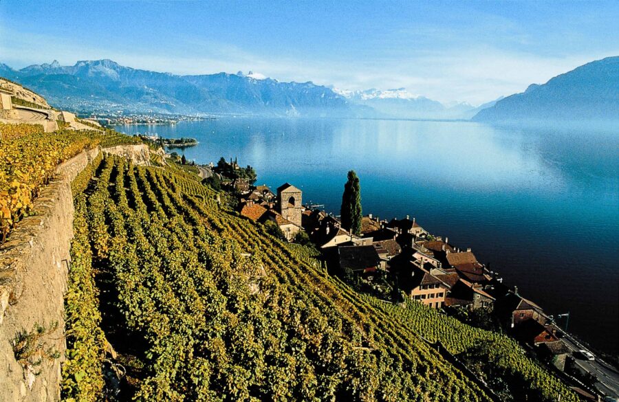 Lavaux Vineyards, Switzerland | wineries with a view