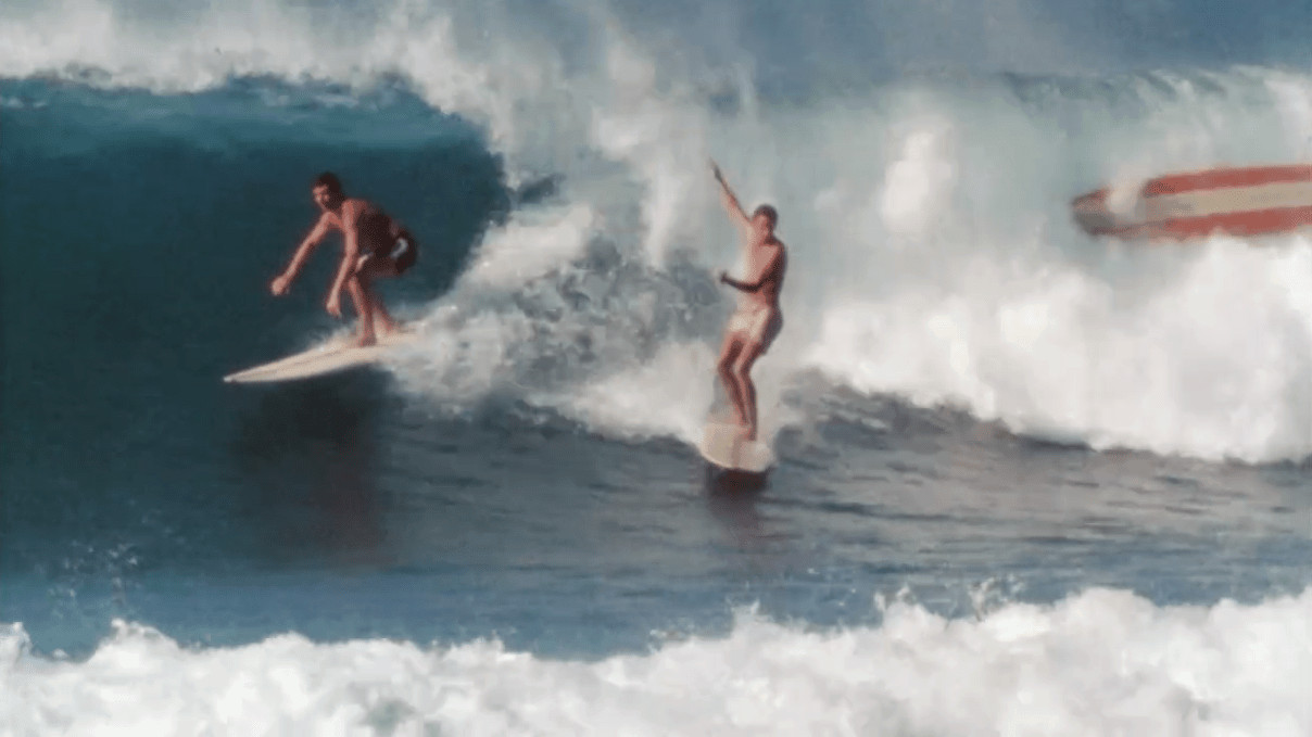 22 things you didn't know about 'The Endless Summer