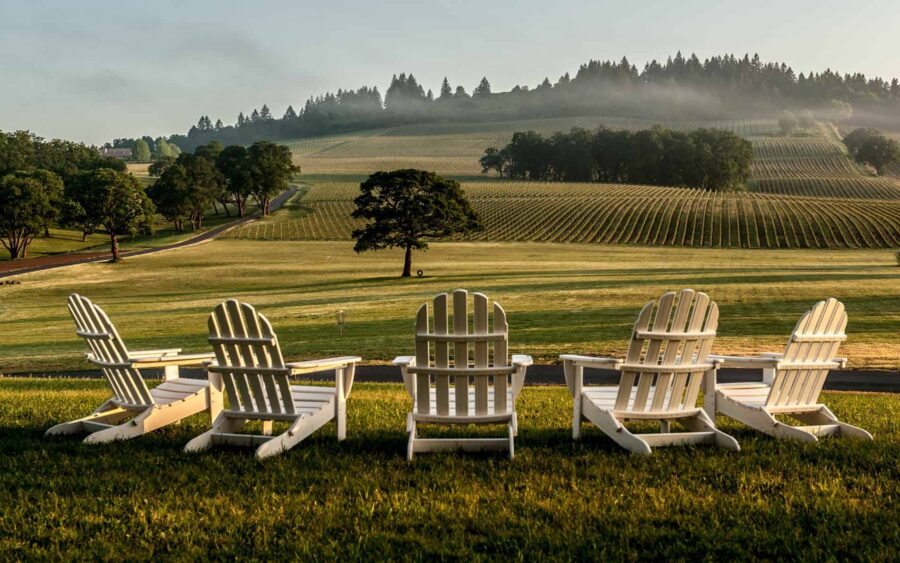 Stoller Family Estate, Oregon | wineries with a view