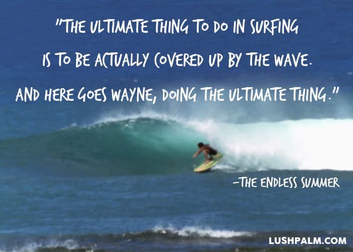 53 Epic Quotes From The Endless Summer - Lush Palm