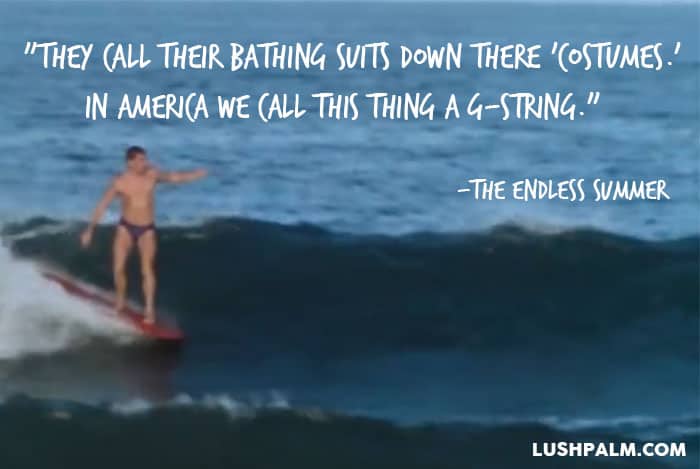 Quotes From The Endless Summer