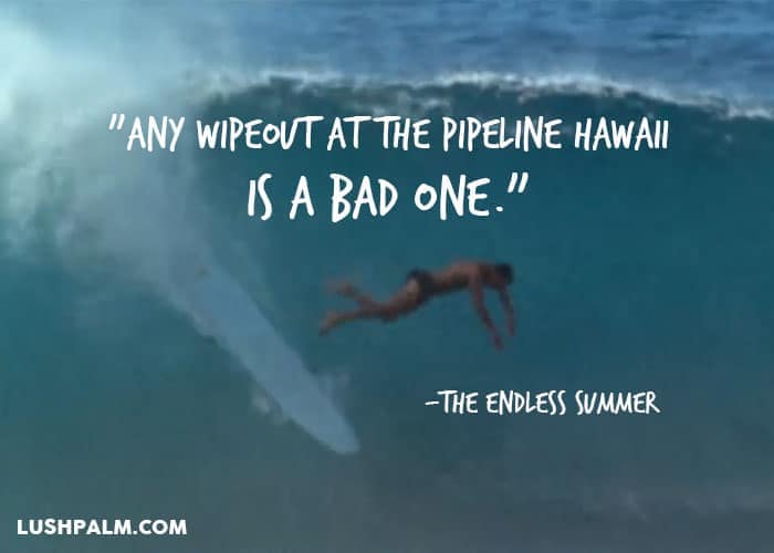 Quotes From The Endless Summer