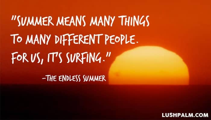 Quotes From The Endless Summer