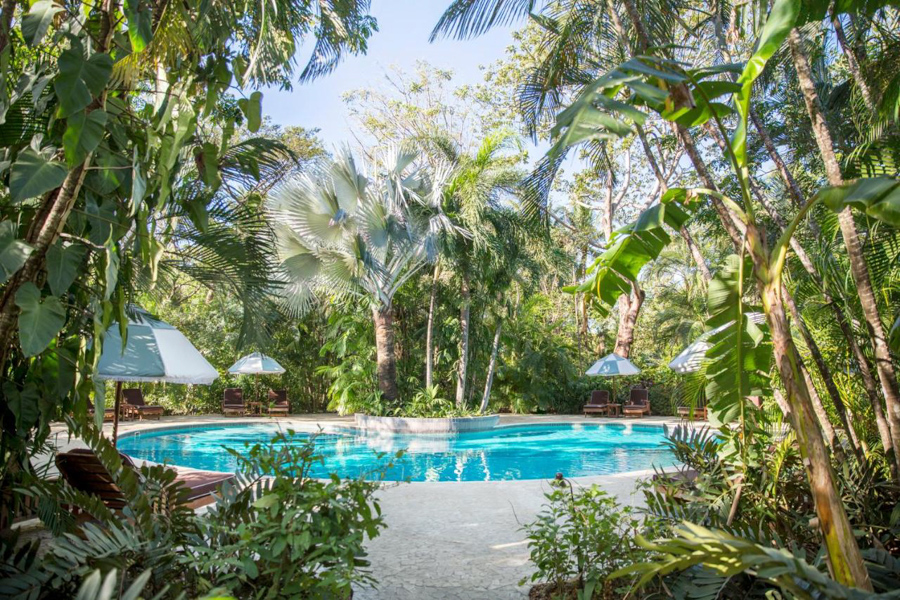 costa rica surf hotel in nosara