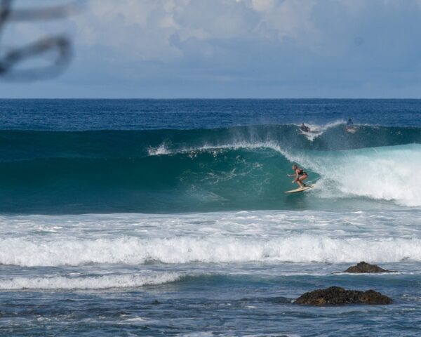 surfing costa rica tropical waves