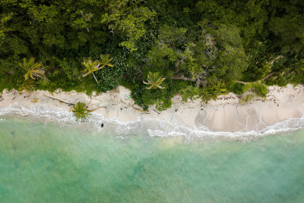 costa rica beach aerial jungle surf coastline view