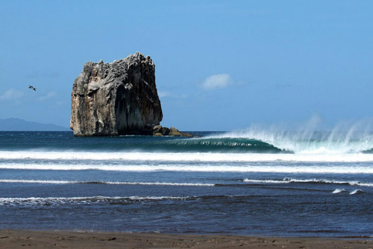 The Surf in Costa Rica / A Guide to the Regions, Seasons, and Breaks