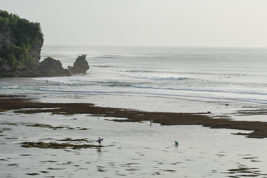 surfing bali reef low tide