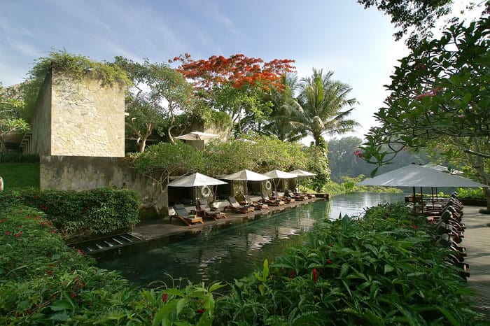 Most Beautiful Pools In The World / Maya, Ubud