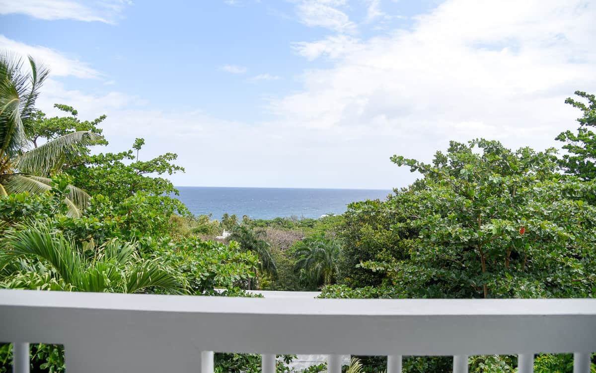 Serenity Rincón Hotel / Rincón, Puerto Rico - Lush Palm