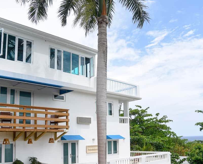 Serenity Rincón Hotel / Rincón, Puerto Rico Lush Palm