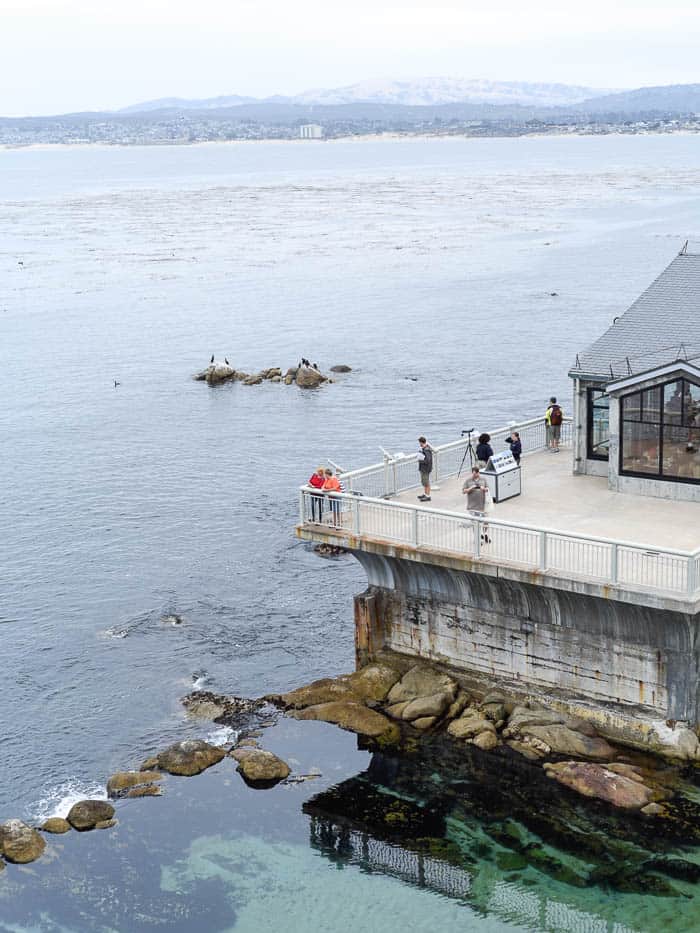 Monterey Bay Aquarium, Monterey, California / RTW SURF TRIP 02 / FROM ENCINITAS TO SAN FRANCISCO