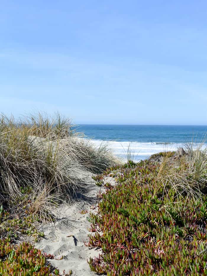 Ocean Beach, San Francisco