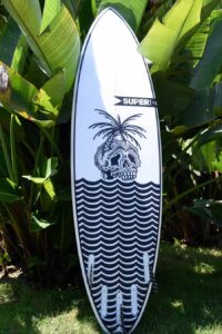 superbrand surfboards pig dog