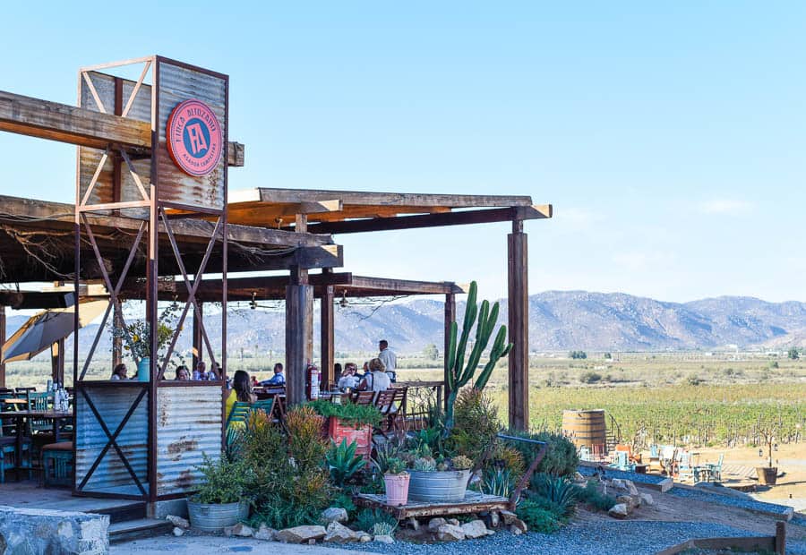 Finca Altozano Restaurant / Guadalupe Valley, Mexico / 24 Hours in Baja's Wine Country