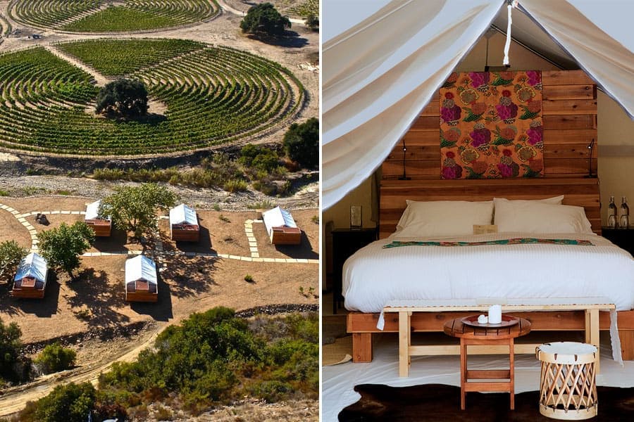 Cuatro Cuatros Glamping / Guadalupe Valley, Mexico / 24 Hours in Baja's Wine Country