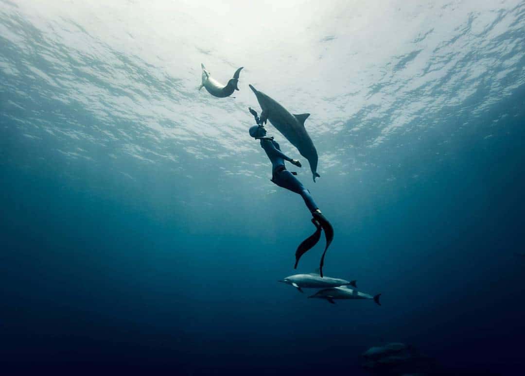 Freediving course