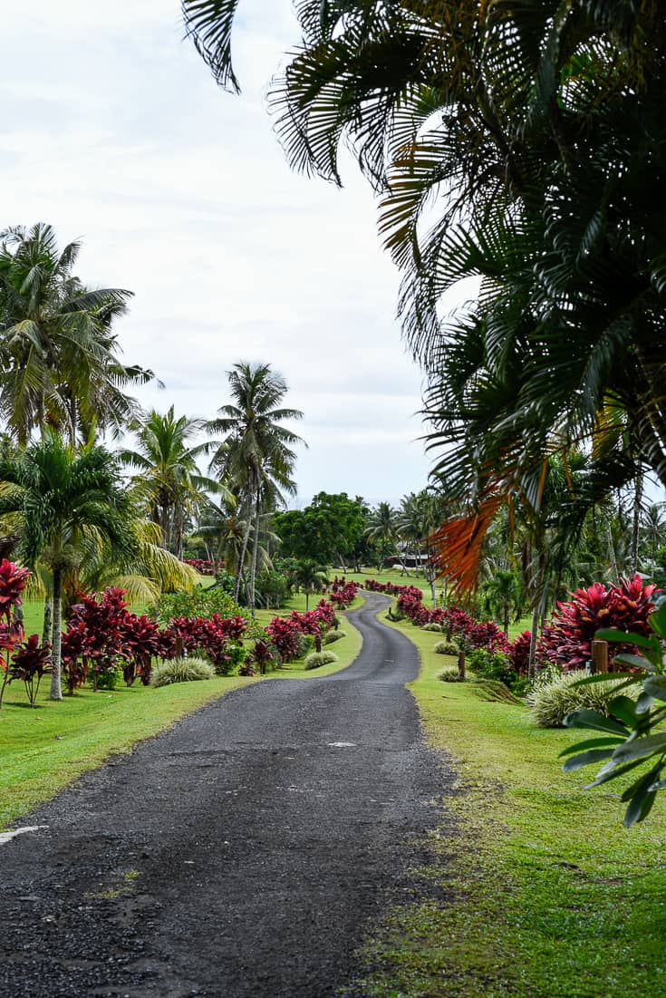 Sinalei Reef Resort & Spa / A Luxury Beachfront Samoa Resort