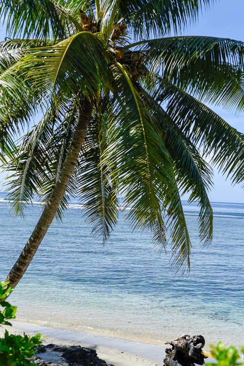 Sinalei Reef Resort & Spa / A Luxury Beachfront Samoa Resort