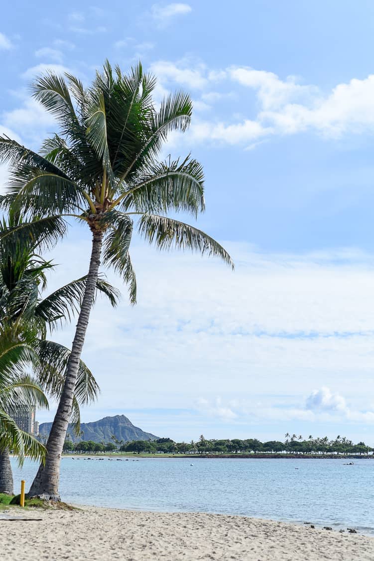 Ala Moana Park Beach / Honolulu, Hawaii