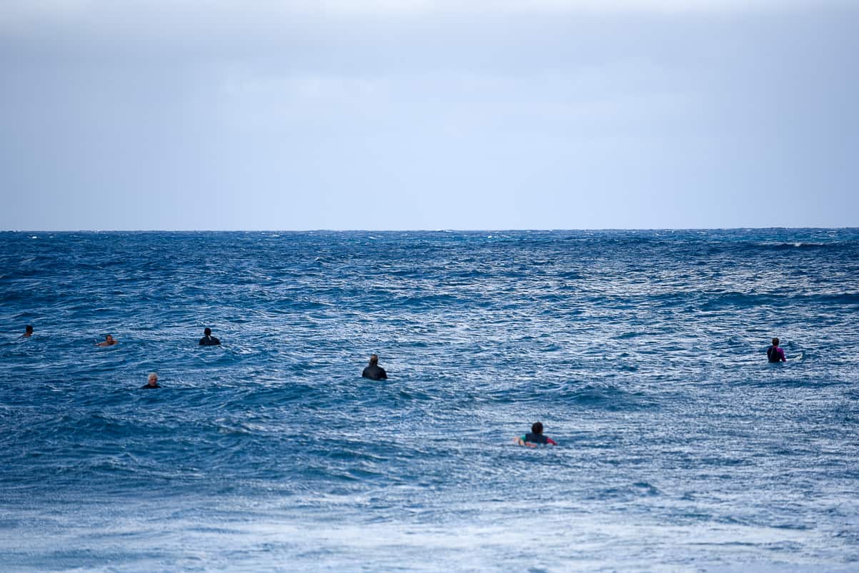 surf north shore oahu