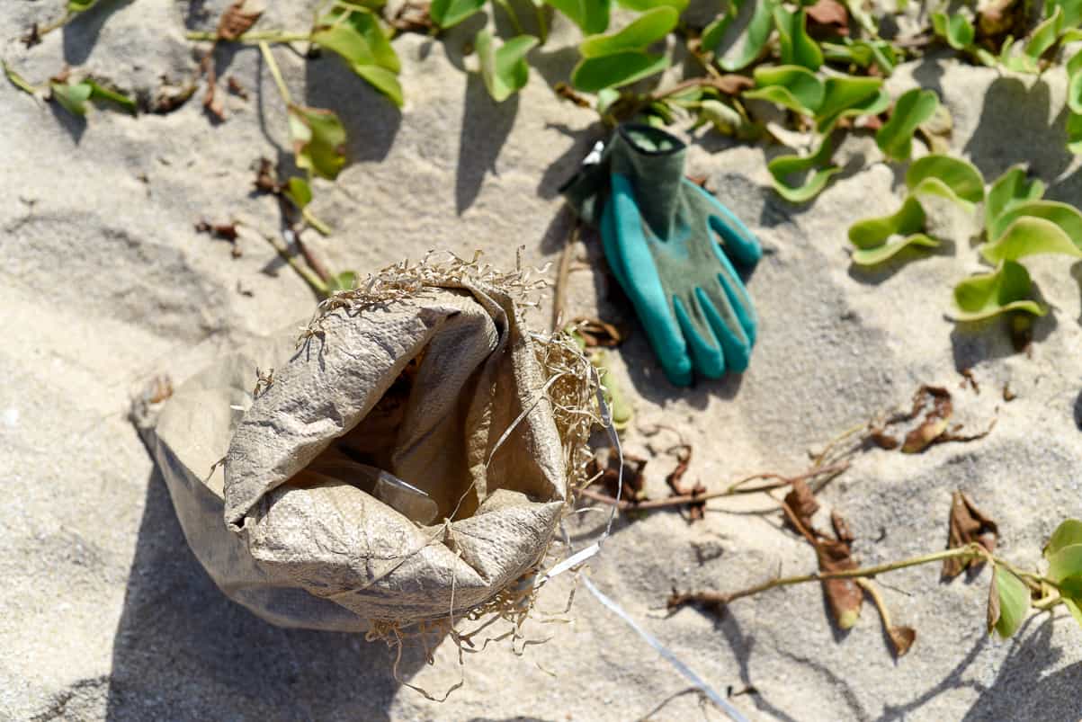 Surfrider Beach Clean Up