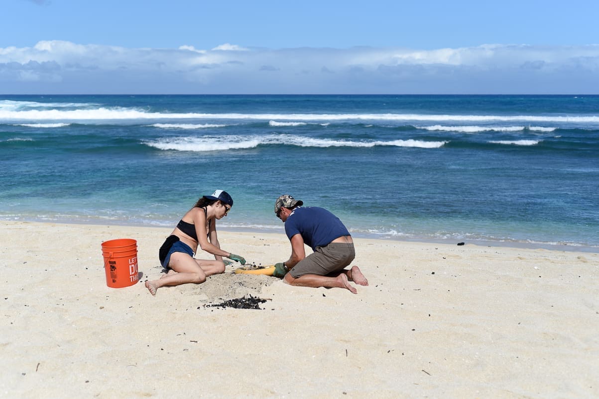 Surfrider beach clean up Haleiwa Hawaii