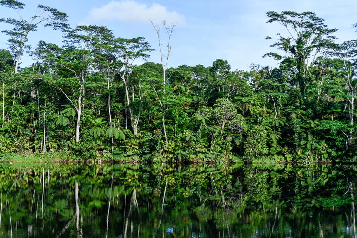 colo-i-suva rainforest eco resort