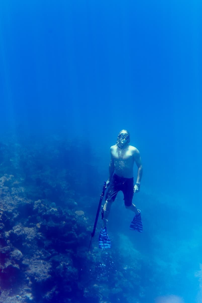 fiji freediving