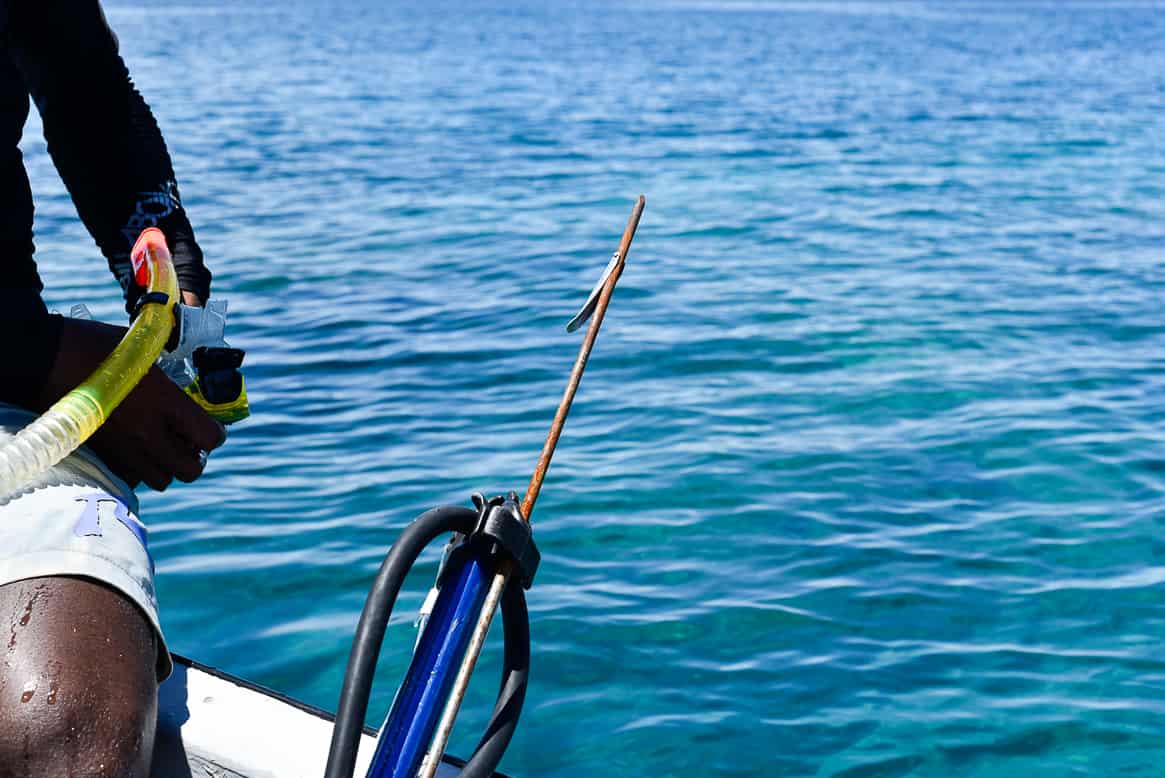 fiji spearfishing