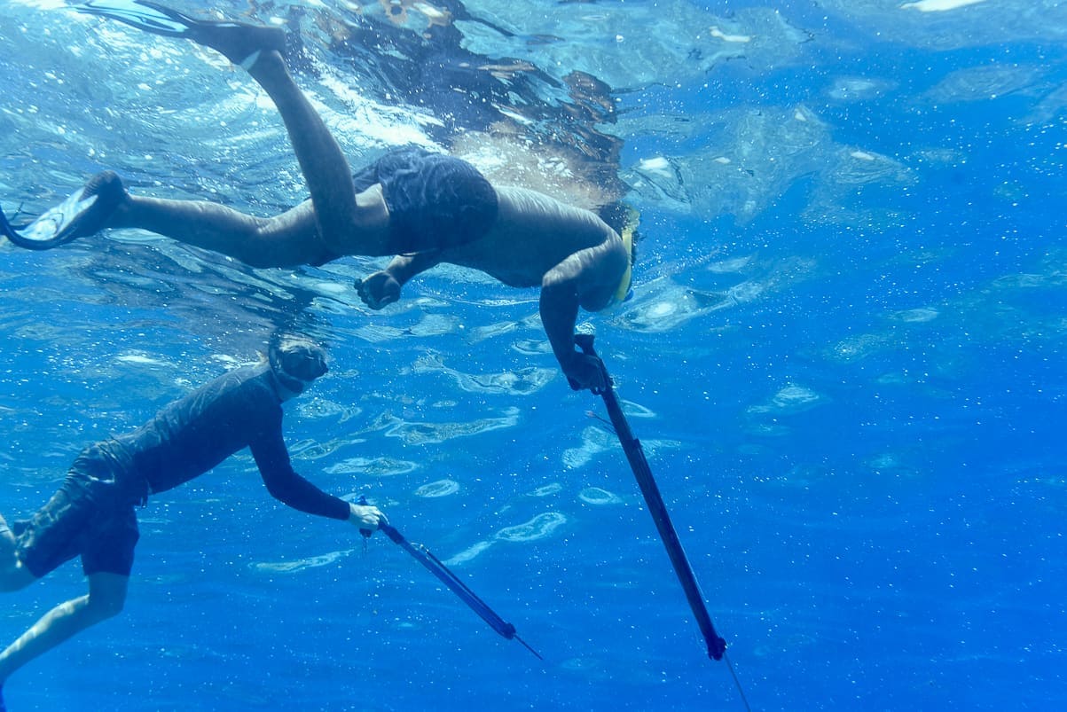 spearfishing fiji under water spearfisher shot