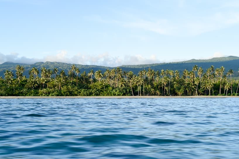 samoa lush palms