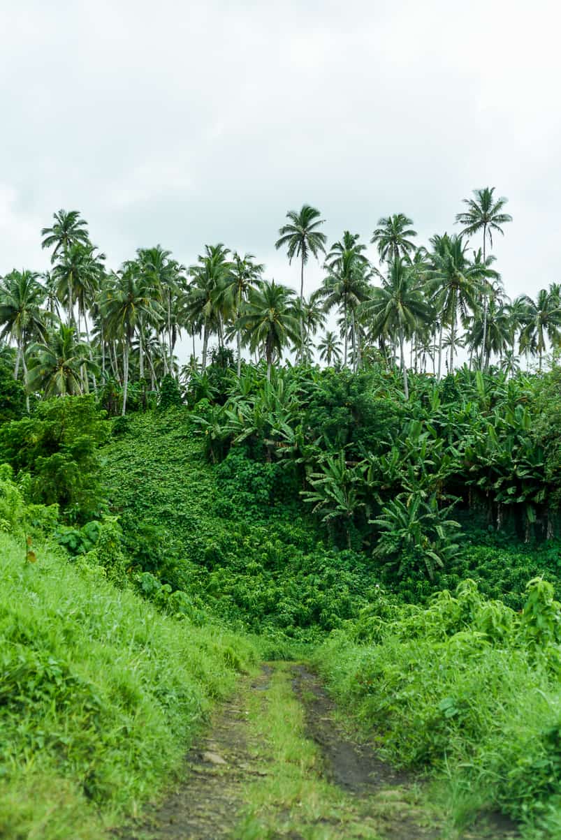 samoa road to tiavea