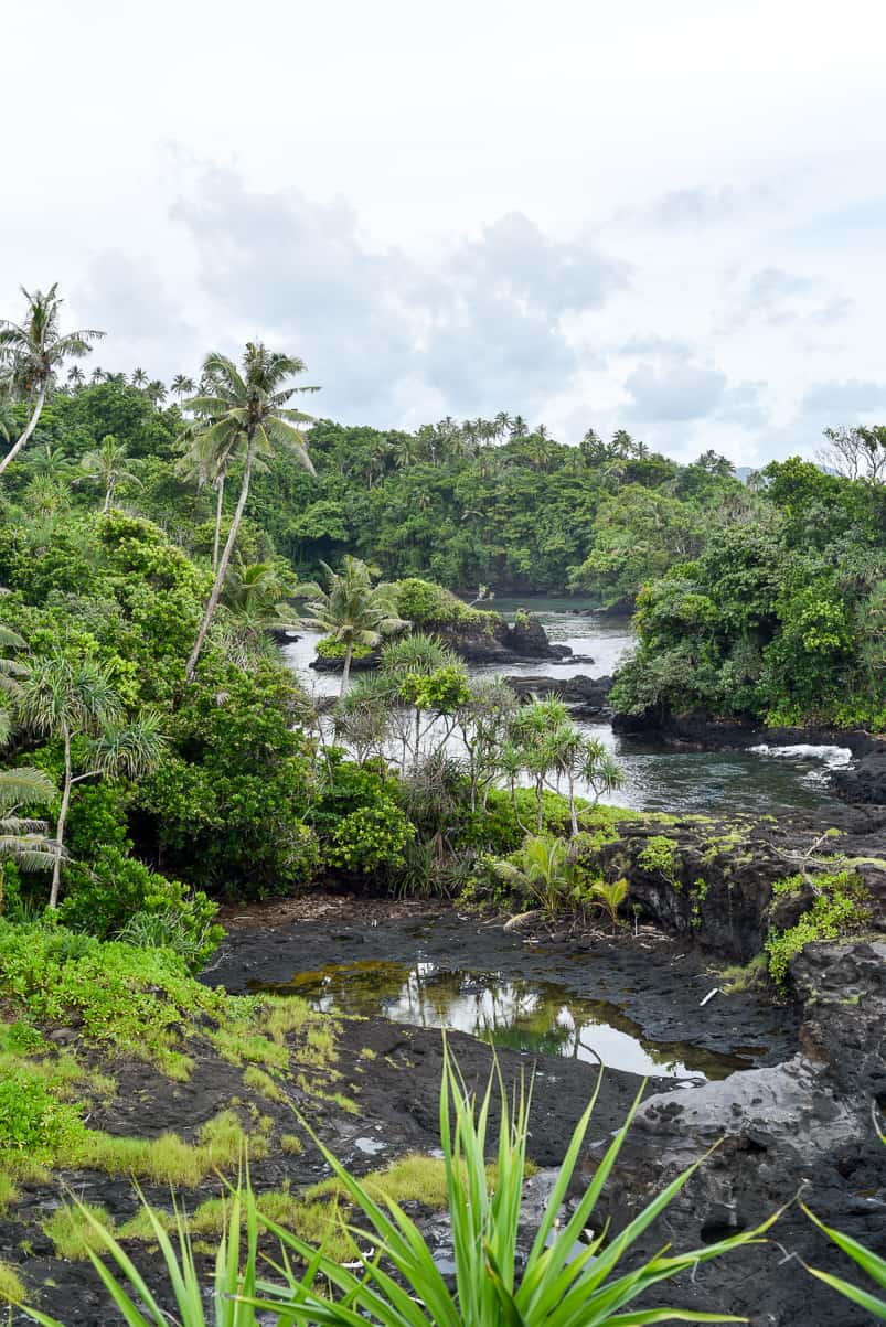 samoa to sua ocean trench garden