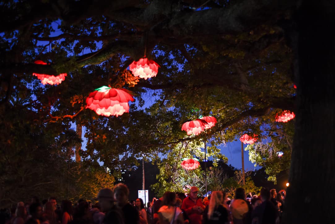 auckland lantern festival