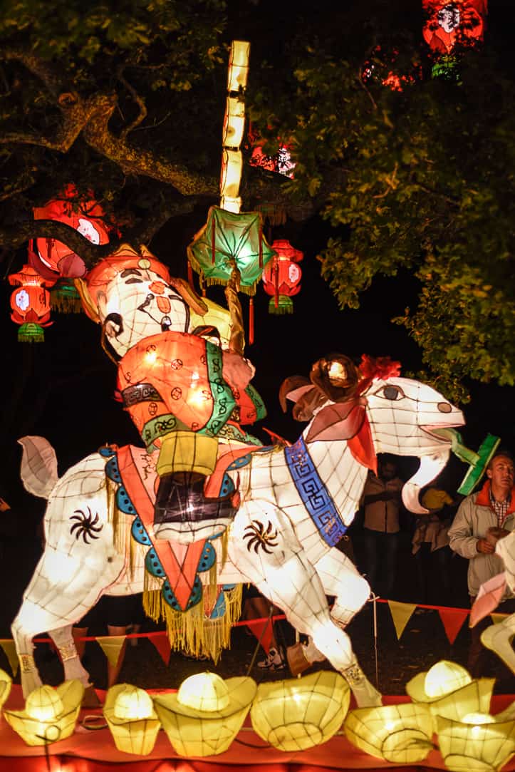 auckland lantern festival cat riding sheep lantern