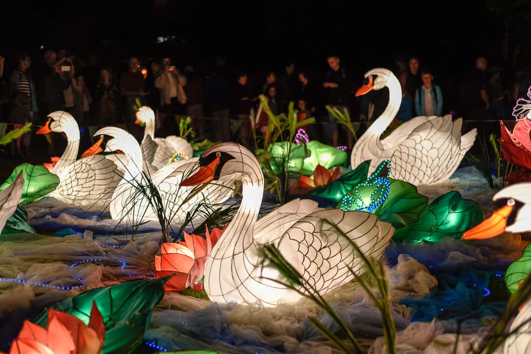 auckland lantern festival