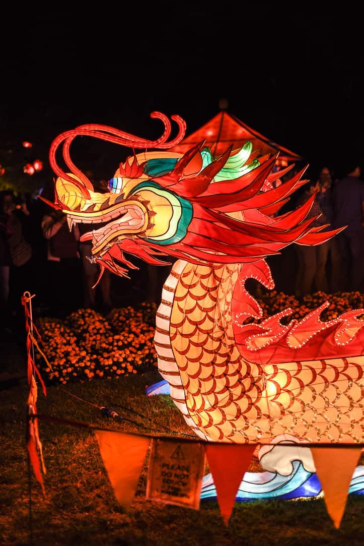 auckland lantern festival dragon lantern