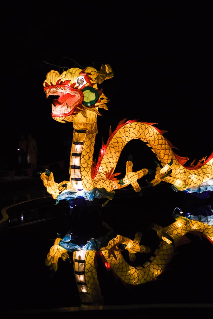 auckland lantern festival