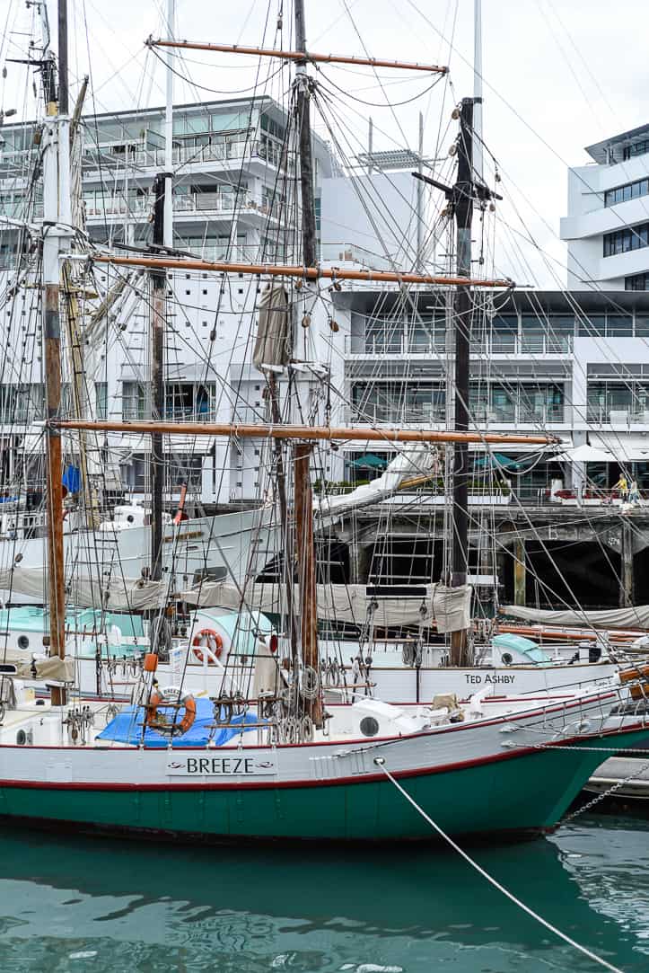 auckland new zealand boat in harbor