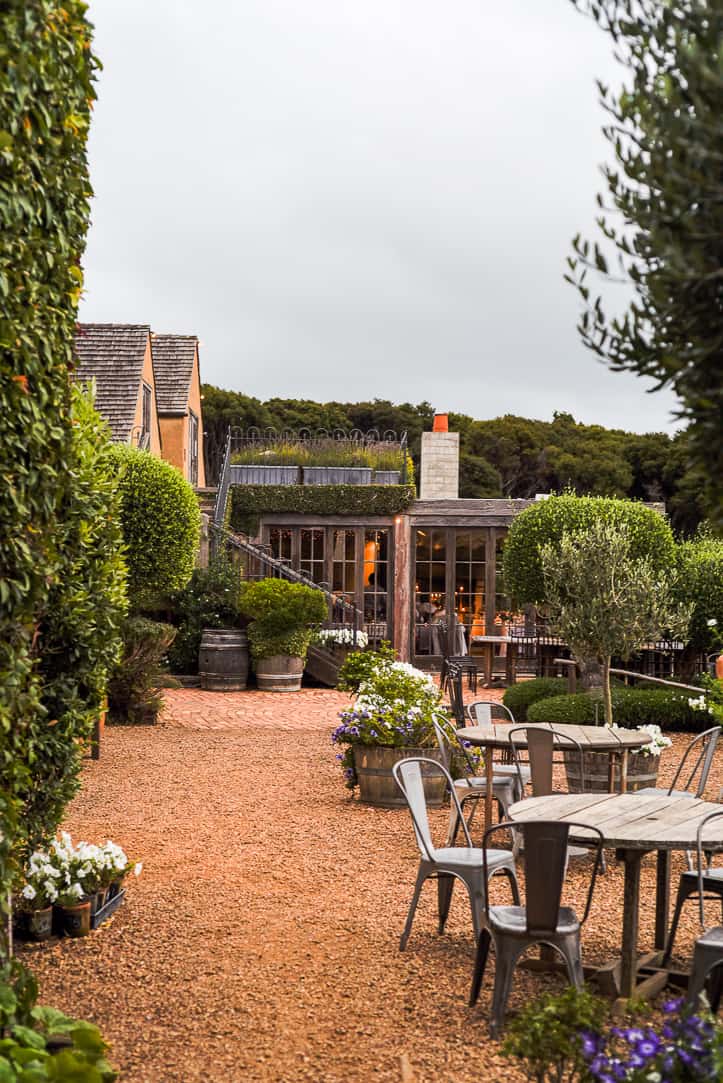 mudbrick vineyard