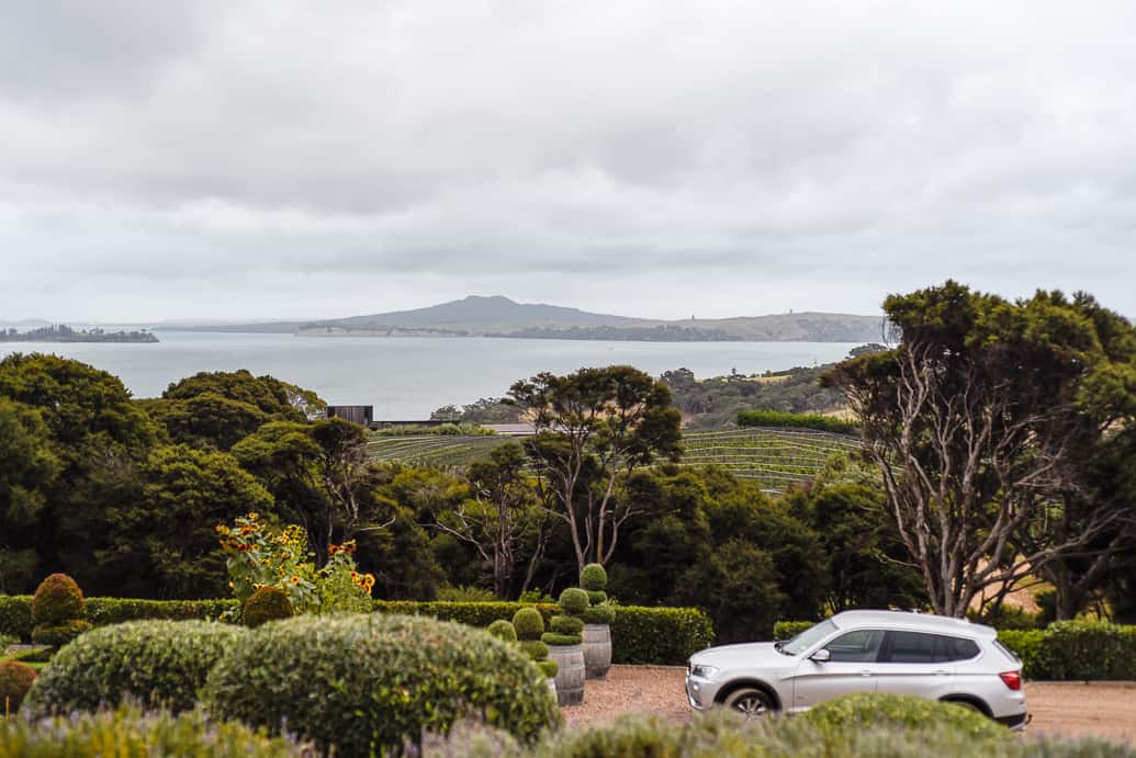 mudbrick vineyard