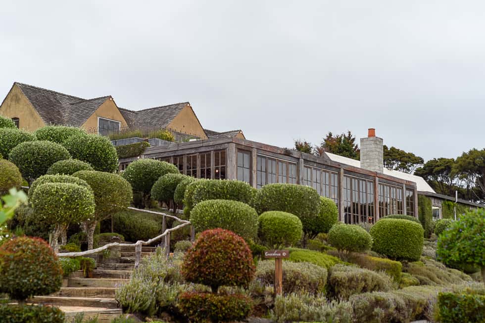 mudbrick vineyard