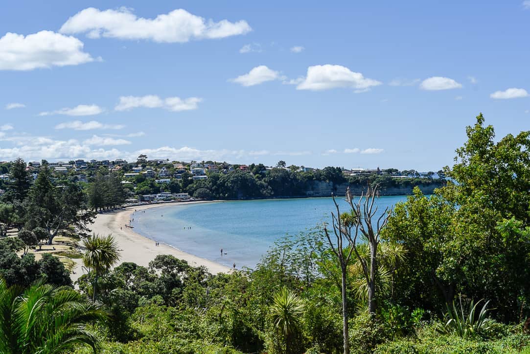 new zealand brown's bay