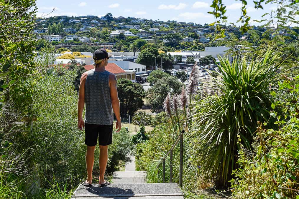 new zealand brown's bay