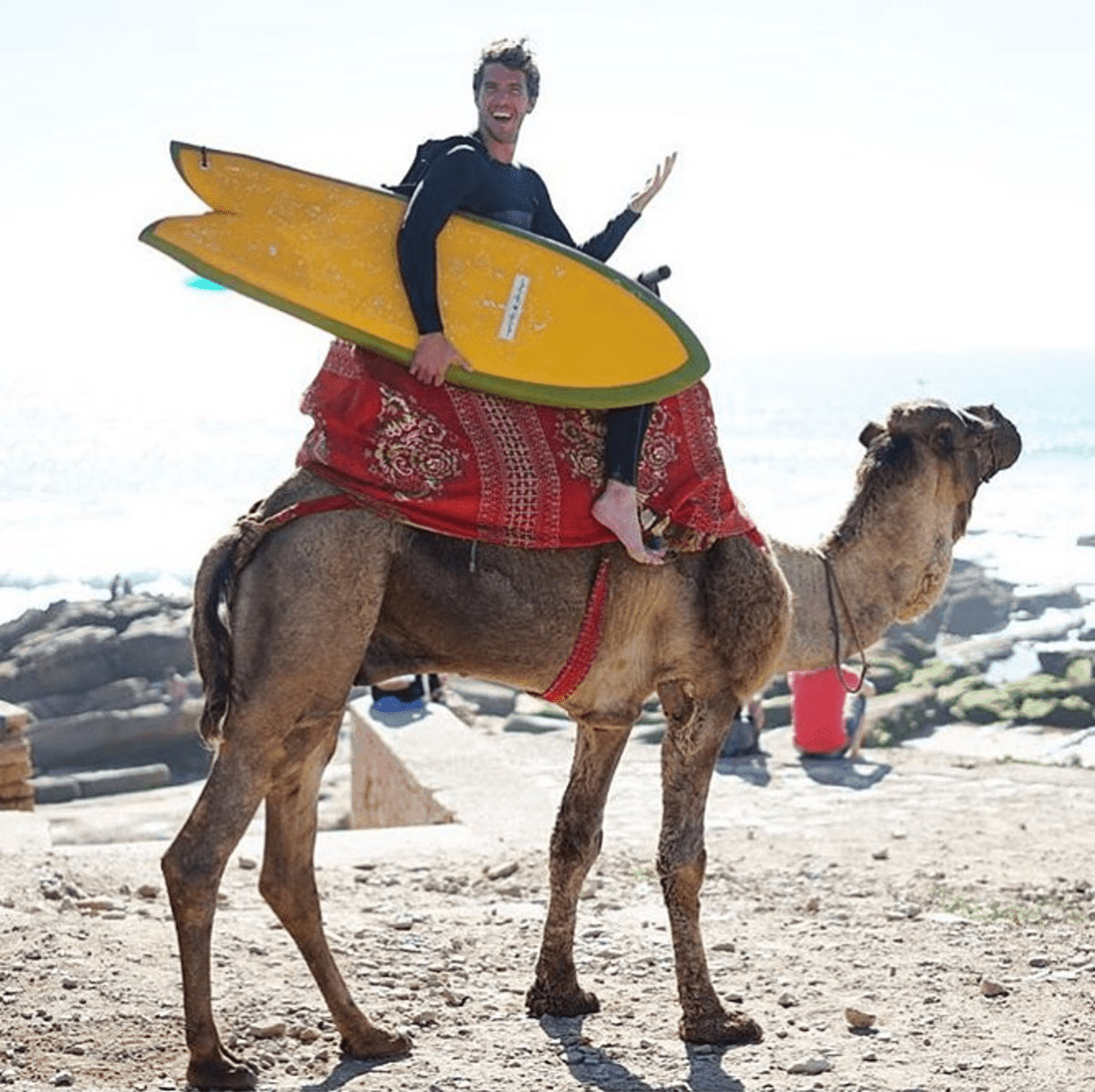 surfer holding yellow fish ryan lovelace surfboard riding camel 